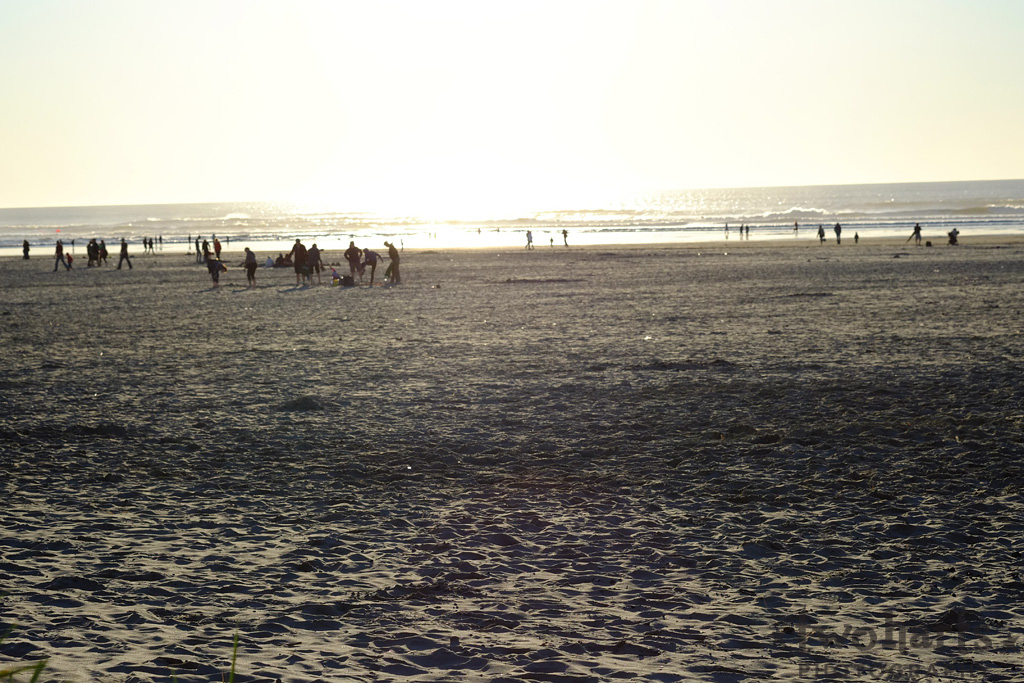 sunset photo of beach showing silhouettes of people